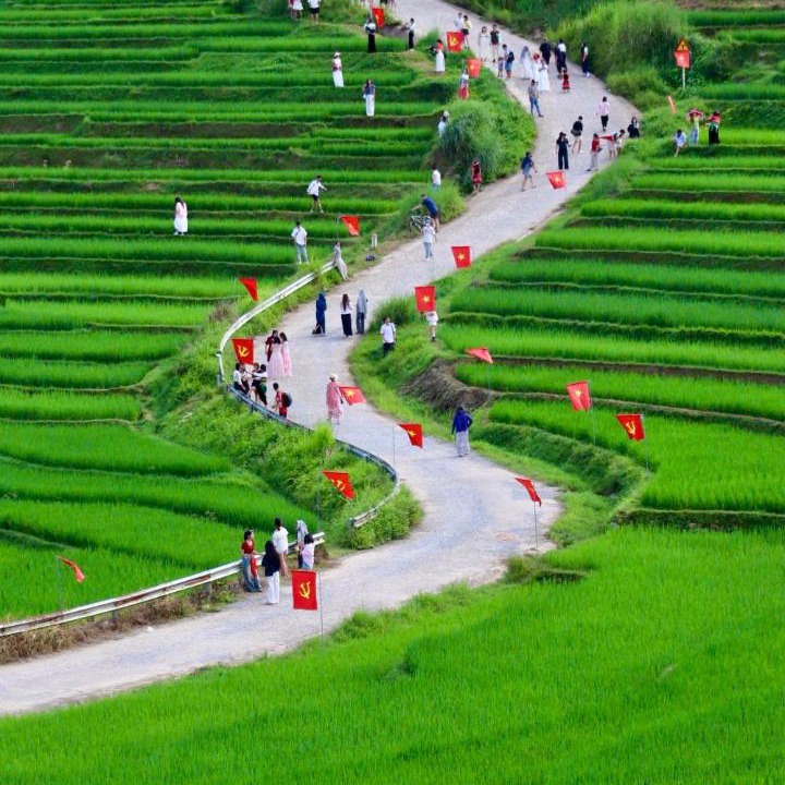 Photo of Others in Kho Muong