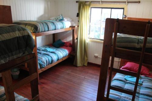 Photo of Others in Puerto Varas