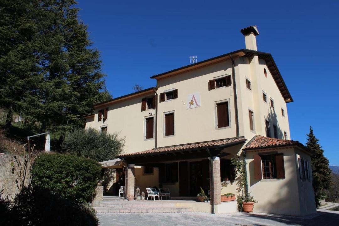 Photo of Others in Tarzo
