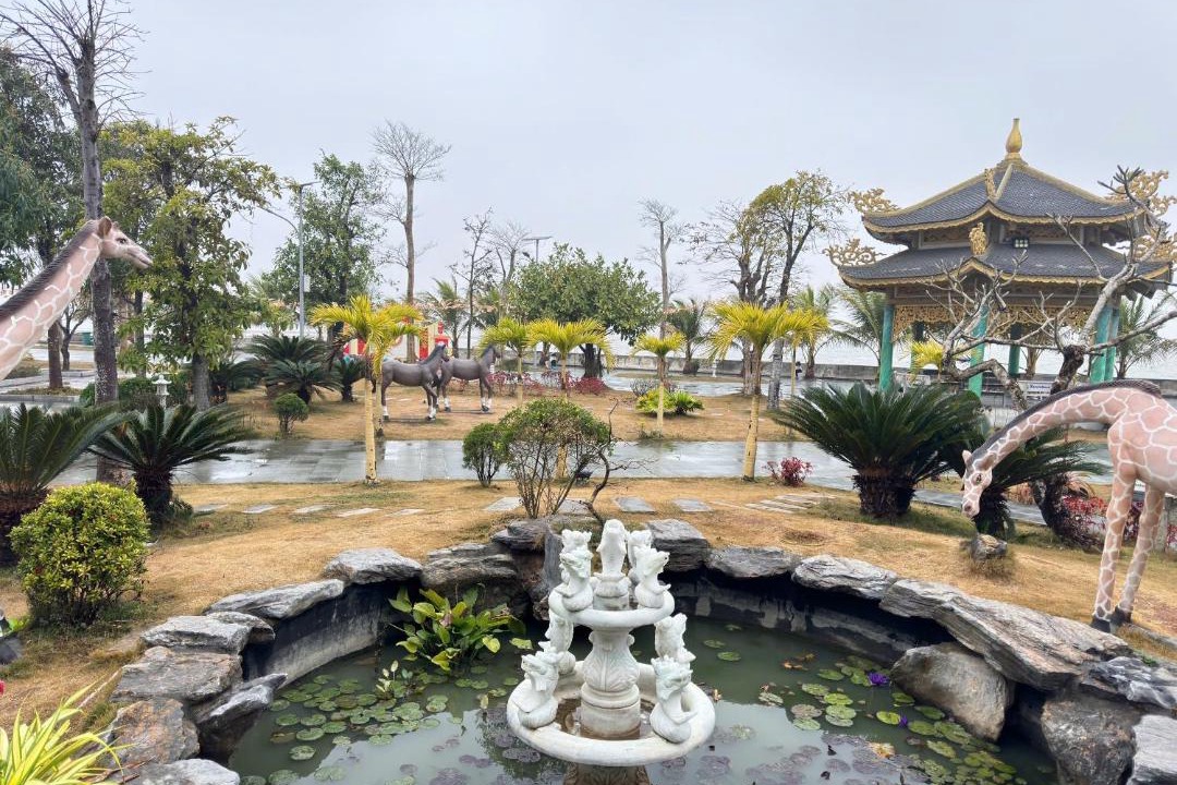Photo of Others in Hoang Hoa