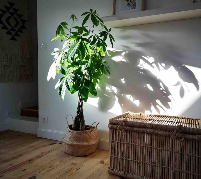 Photo of Livingroom in Camaret-sur-Mer