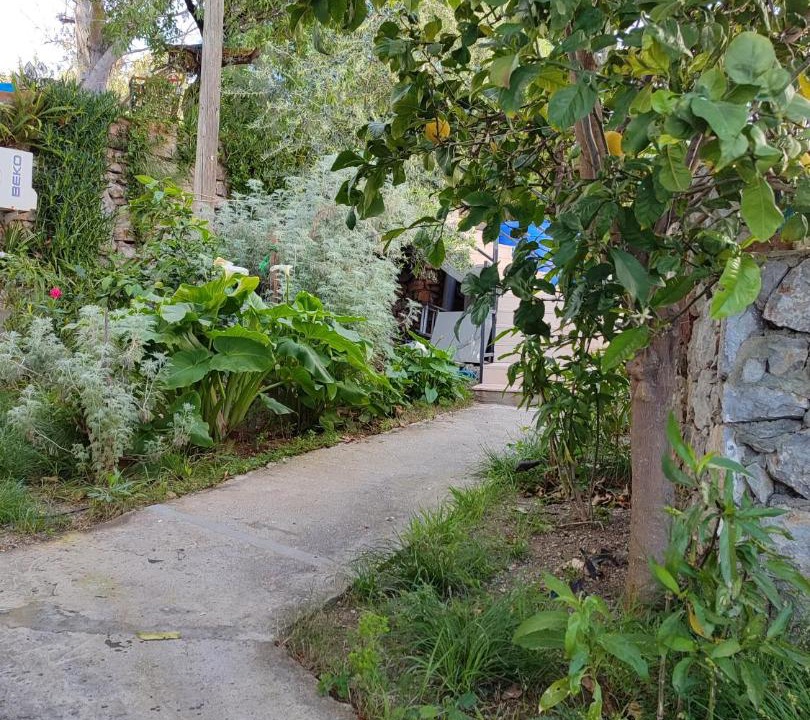 Photo of Outdoor in Selimiye