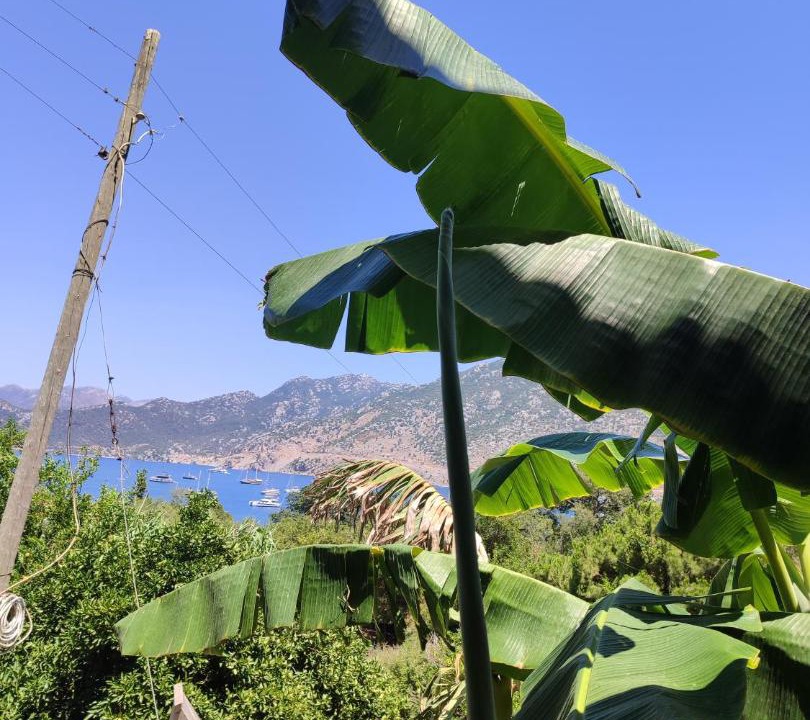 Photo of Outdoor in Selimiye