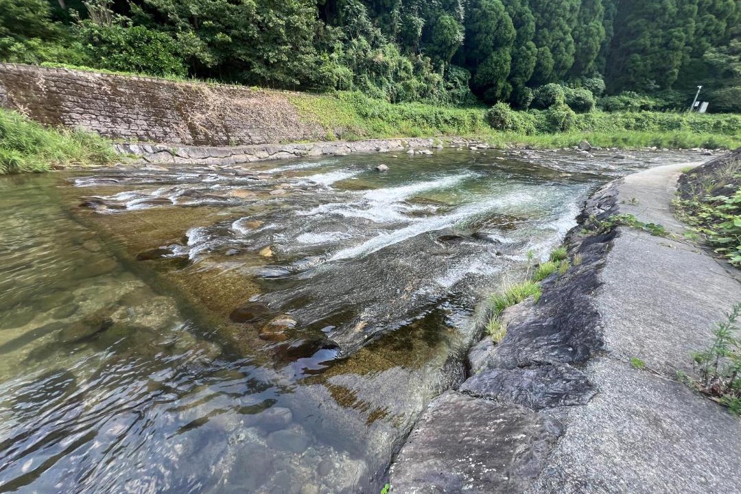 Photo of Others in Kikuchi