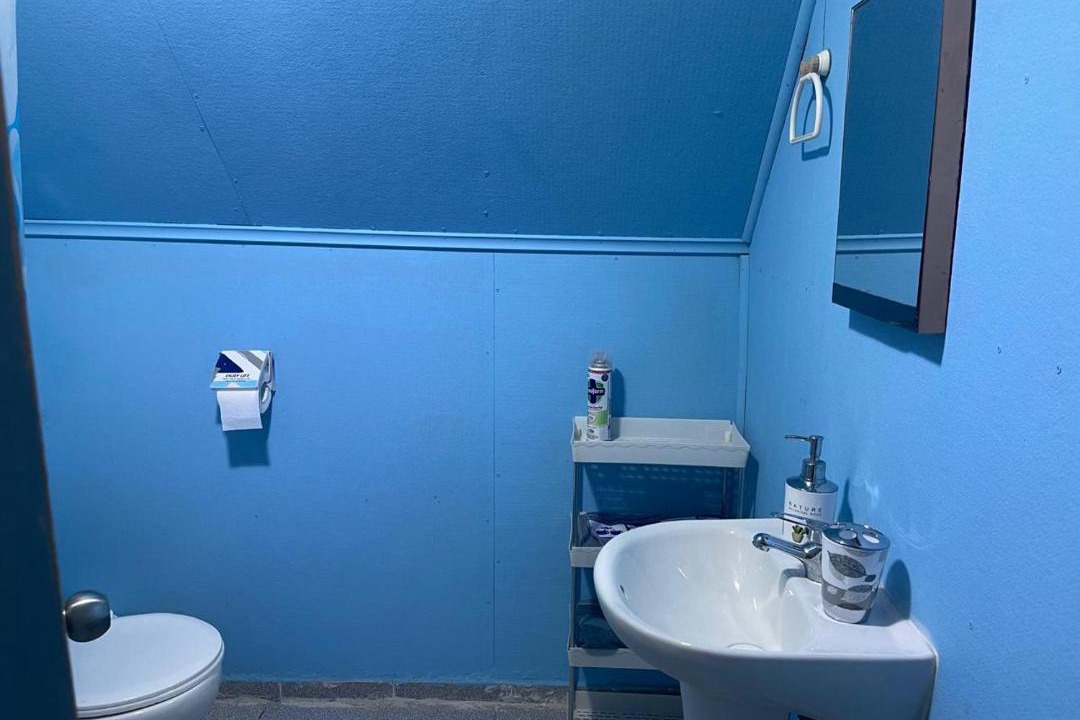 Photo of Bathroom in Curacautin