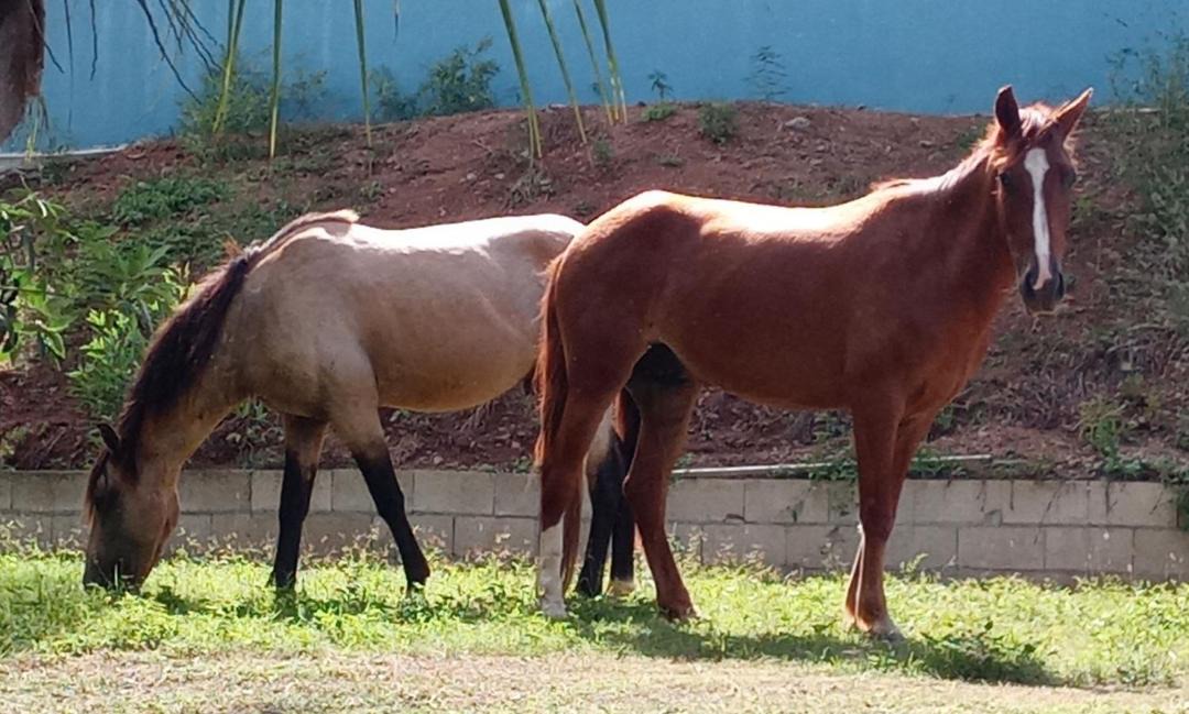 Photo of Others in Esperanza