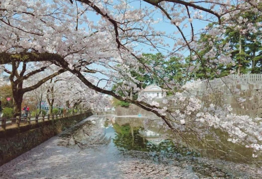 Photo of Others in Odawara