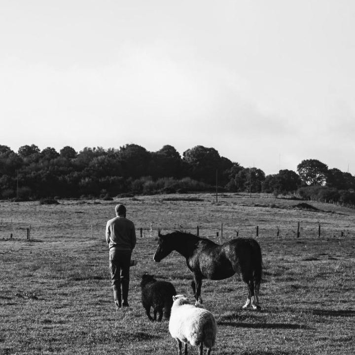 Photo of Human In Picture in Trebry