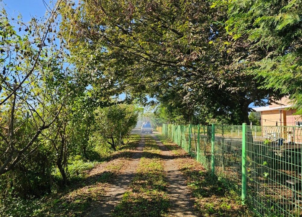 Photo of Outdoor in Kondae-gol
