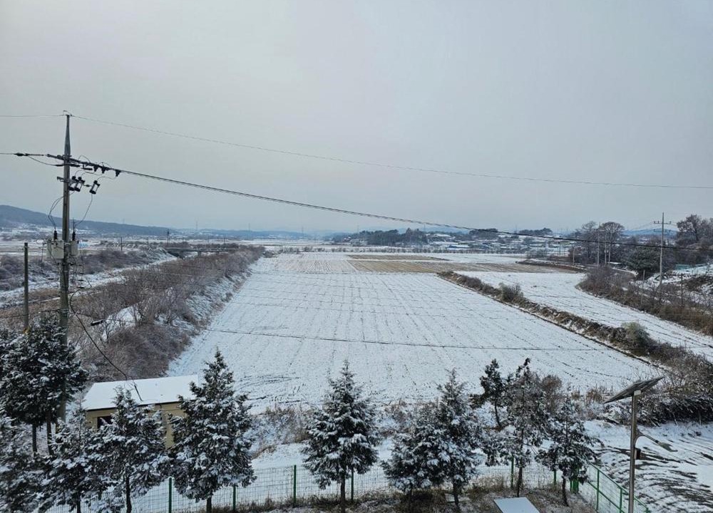 Photo of Others in Kondae-gol