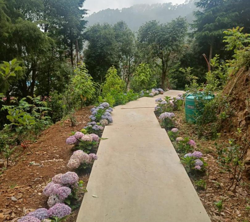 Photo of Outdoor in Bhowali
