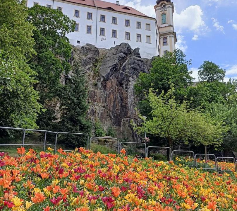 Photo of Others in Decin