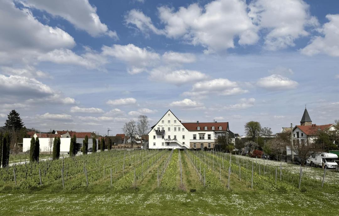 Photo of Others in Mußbach
