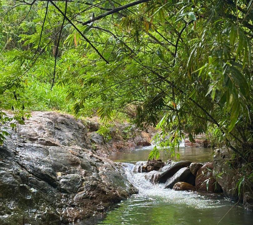 Photo of Others in Doluwa