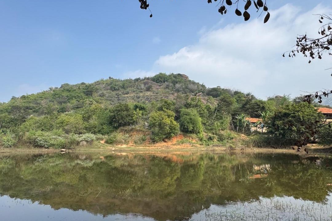 Photo of Others in Manchanabele