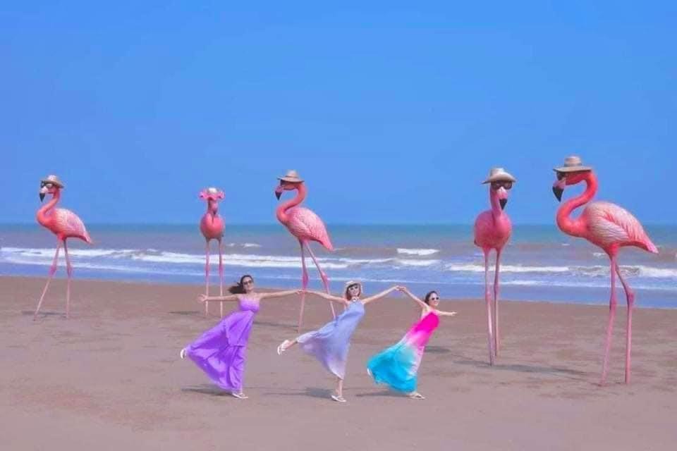 Photo of Others in Hoang Hoa