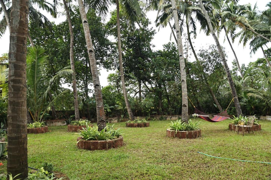 Photo of Others in Anjuna