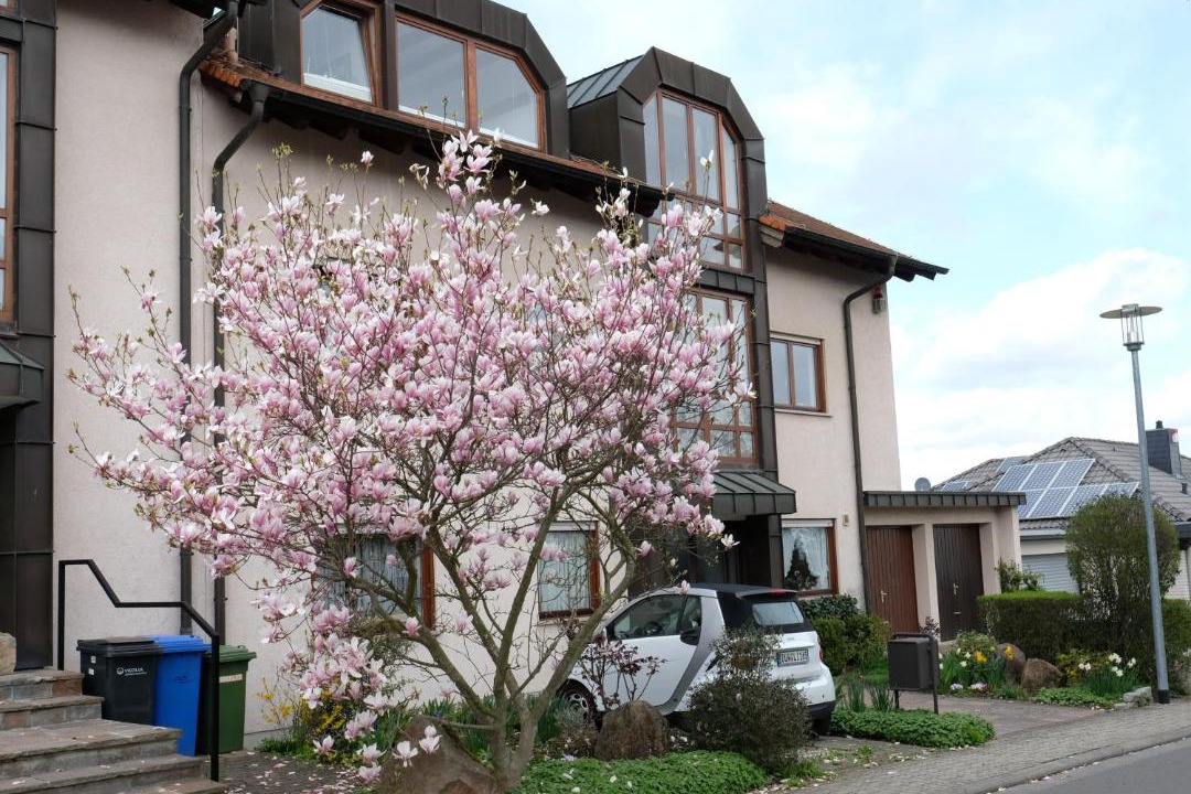 Photo of Buildings in Wachenheim an der Weinstrasse