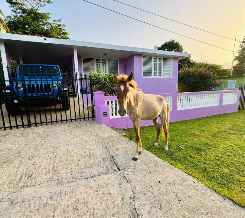 Photo of Others in Esperanza