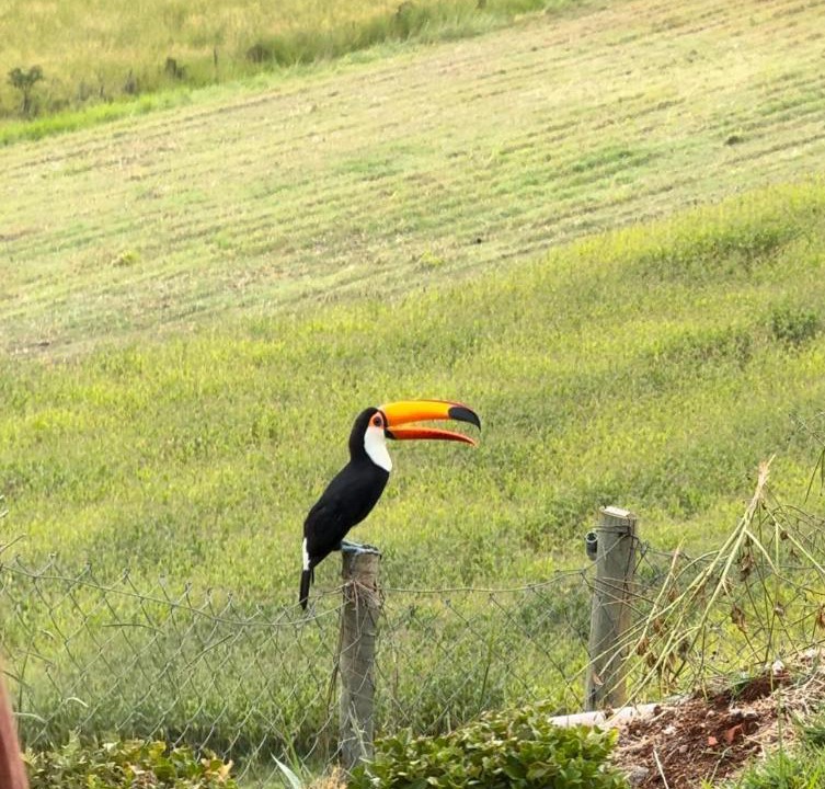 Photo of Others in Pouso Alegre