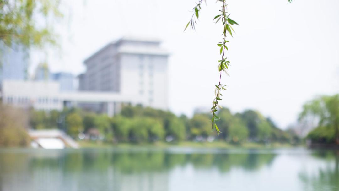 Photo of Others in Hefei New Culture District