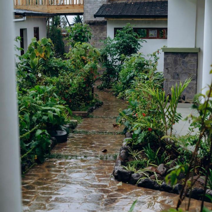 Photo of Others in Kinigi