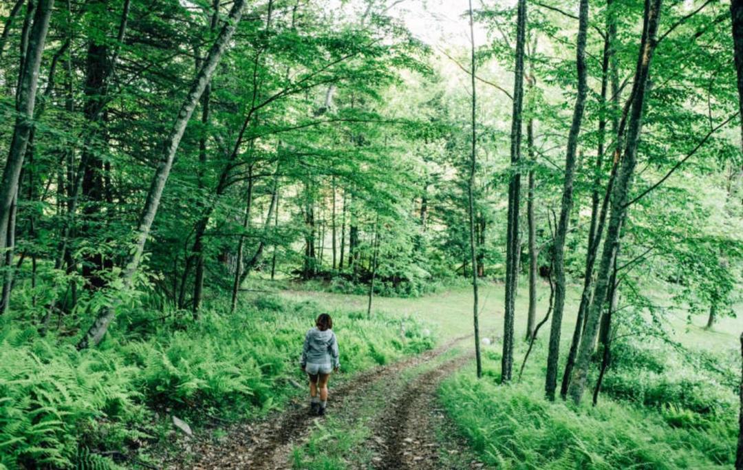 Photo of Others in Mehoopany