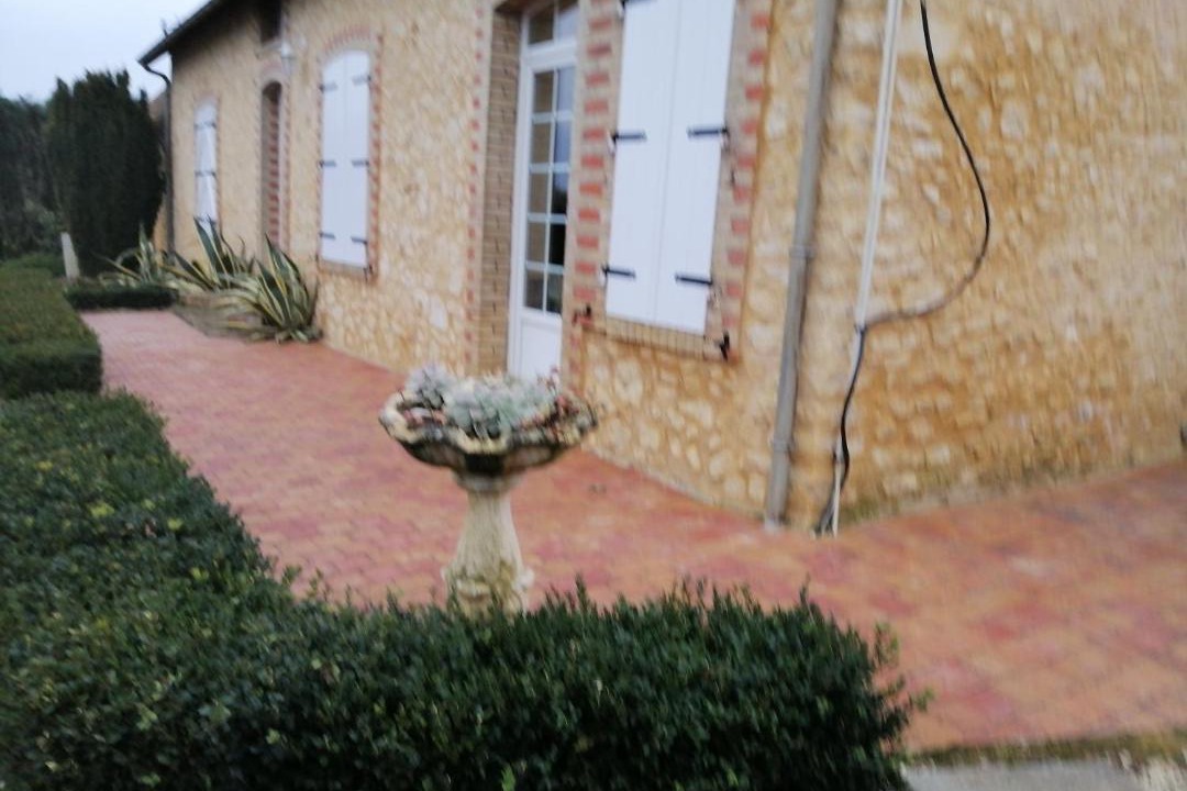 Photo of Others in Duneau