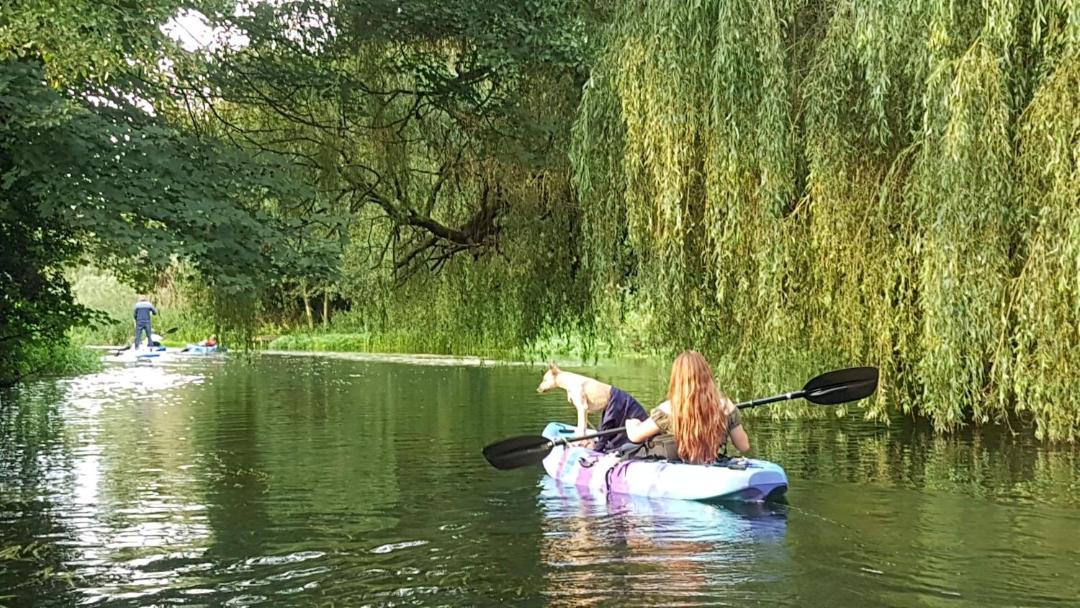 Photo of Others in Horstead