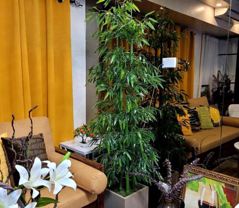 Photo of Livingroom in San Antonio