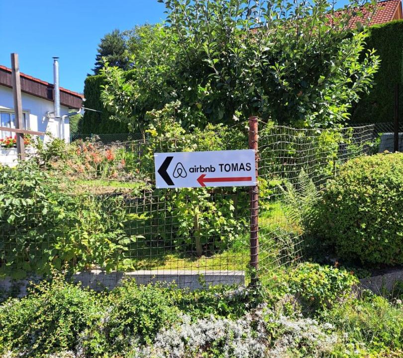 Photo of Others in Mochtin