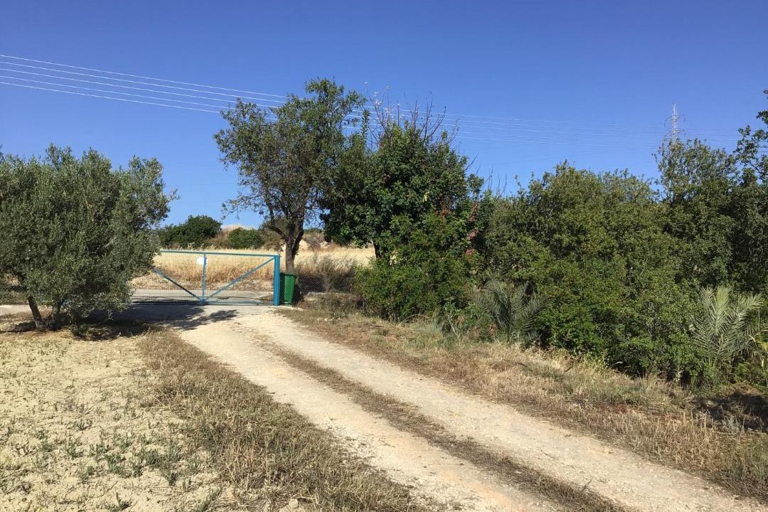 Photo of Outdoor in Pano Arodhes