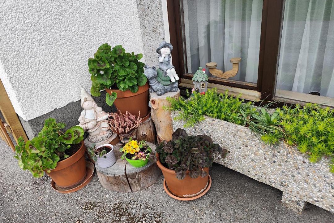 Photo of Others in Abtenau
