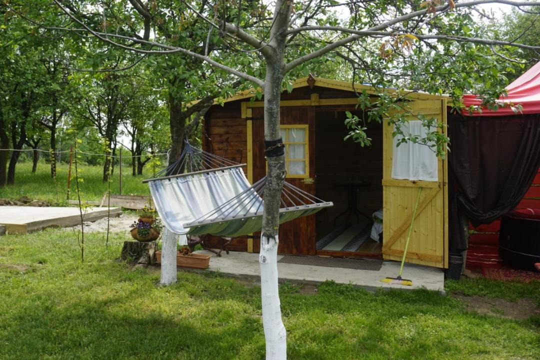 Photo of Others in Prahova County