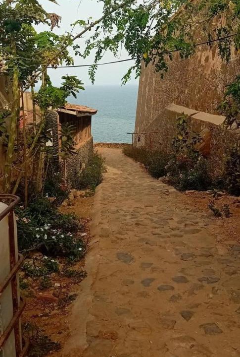 Photo of Others in Dakar