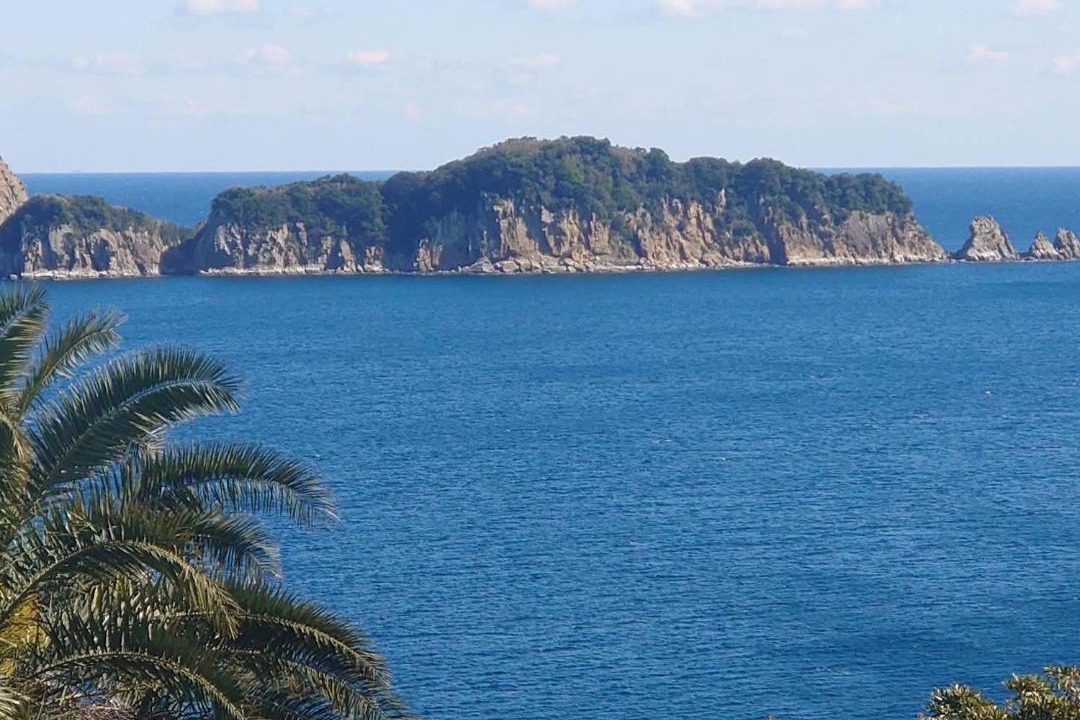 Photo of Others in Nichinan