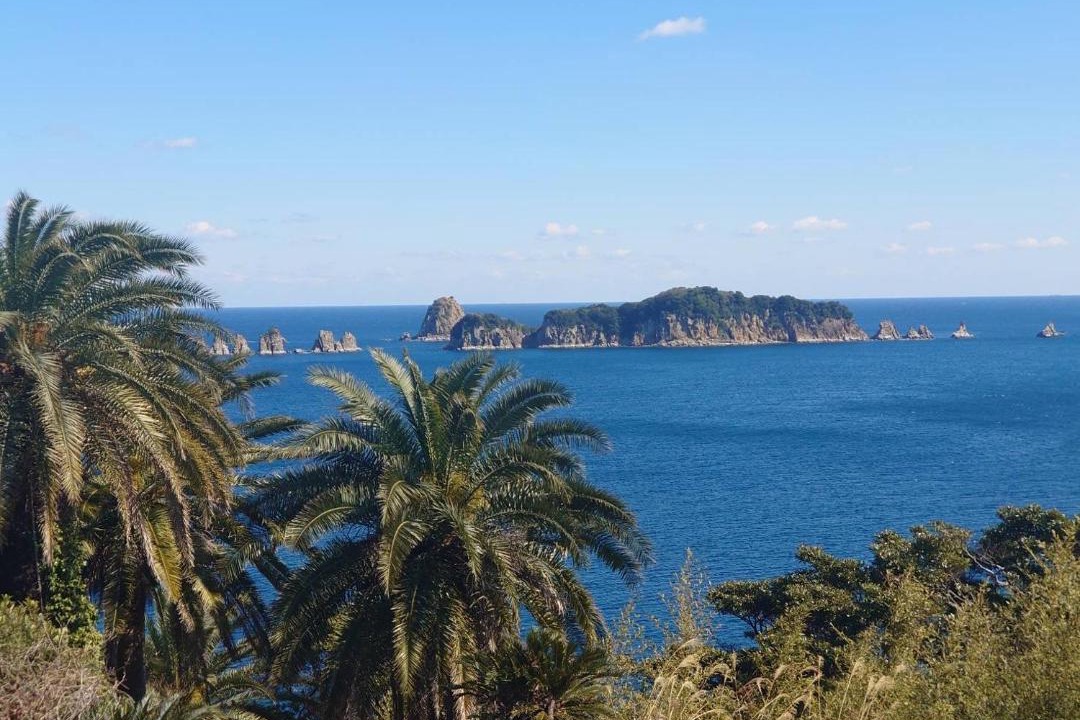 Photo of Others in Nichinan
