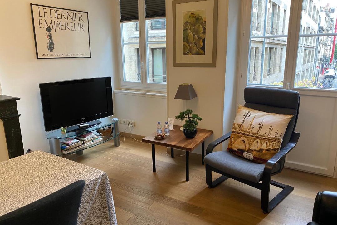 Photo of Livingroom in Bordeaux City Centre