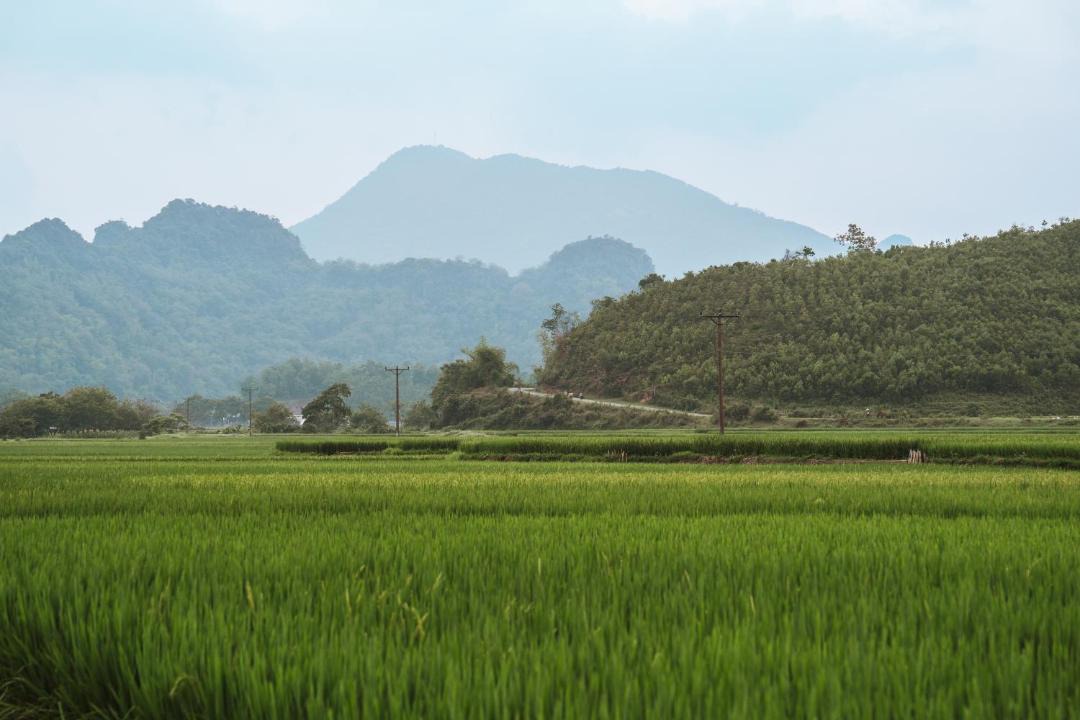 Photo of Others in Kim Boi