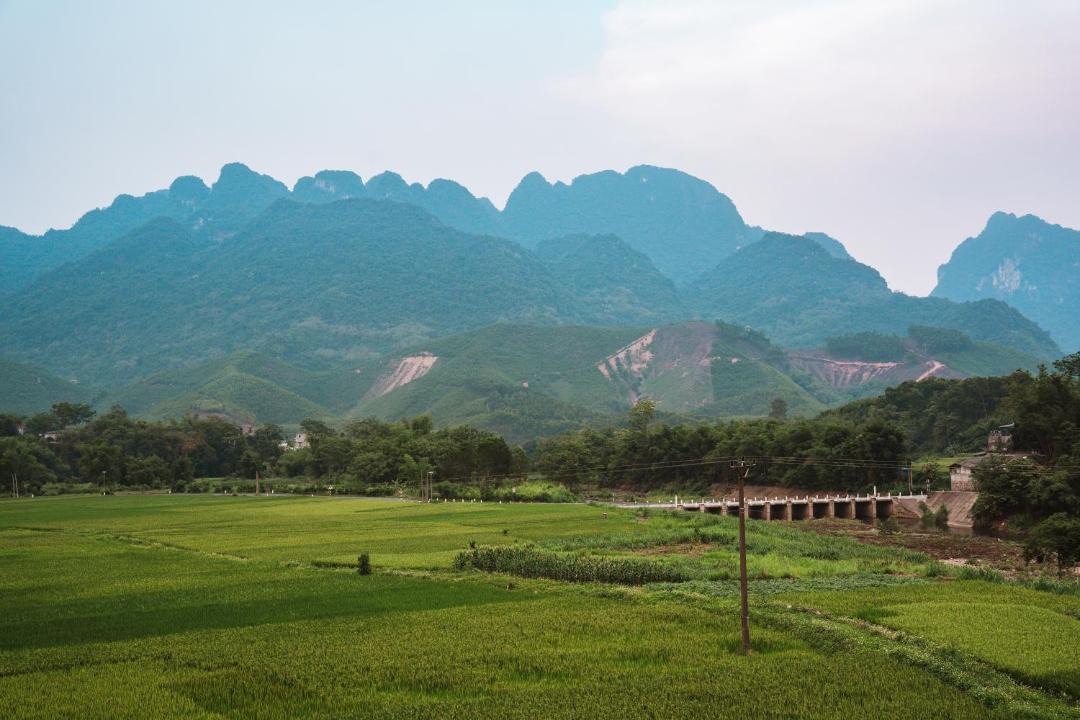 Photo of Others in Kim Boi