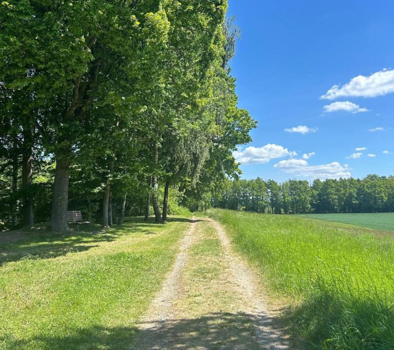 Photo of Others in Reelkirchen