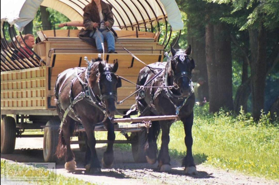 Photo of Others in Wellsboro