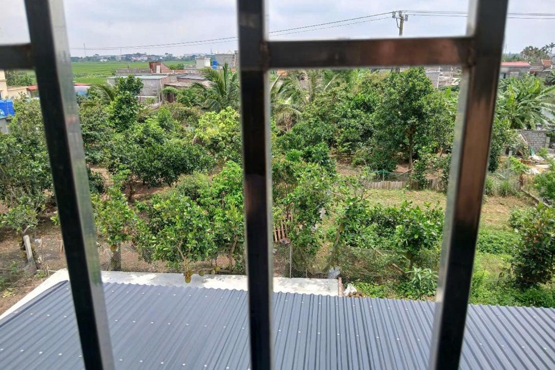 Photo of Others in Thai Thuy