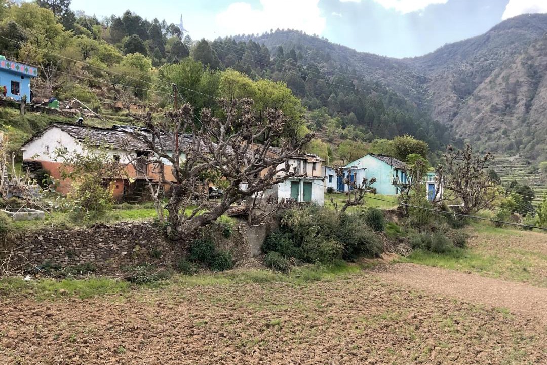 Photo of Others in Tehri