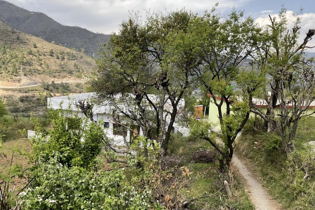 Photo of Others in Tehri