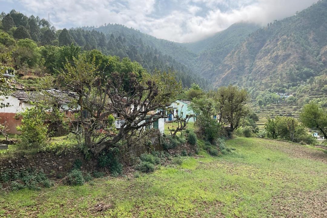 Photo of Others in Tehri