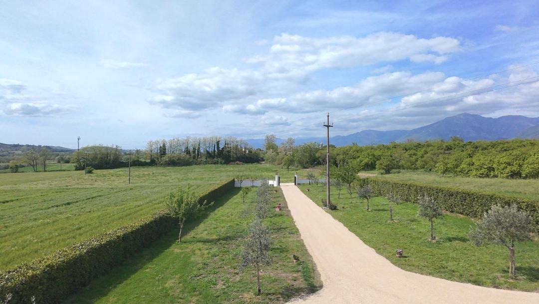 Photo of Others in Amorosi