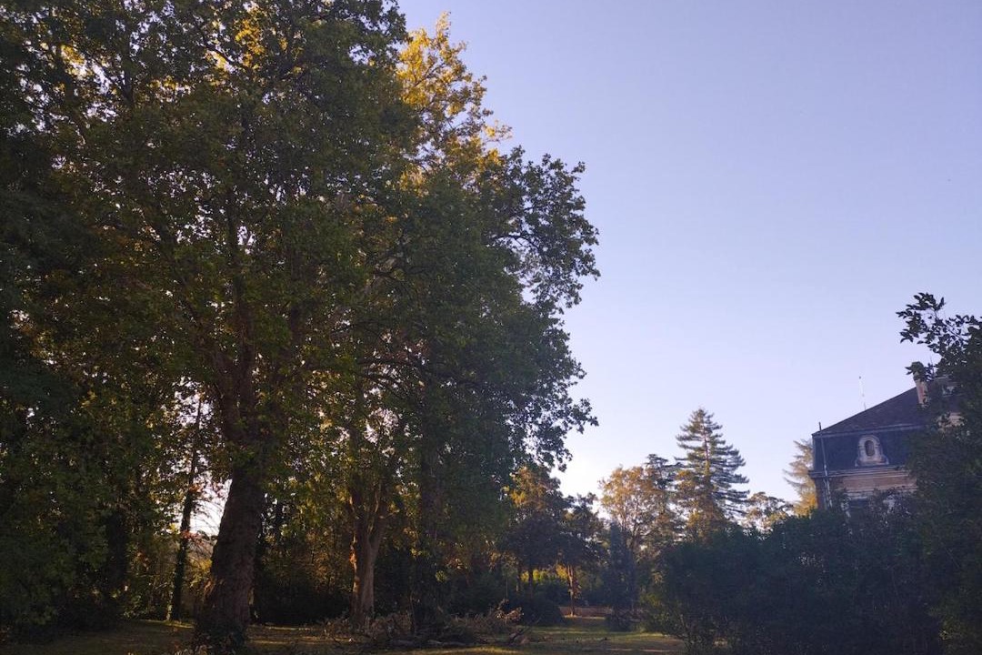 Photo of Others in Montbron