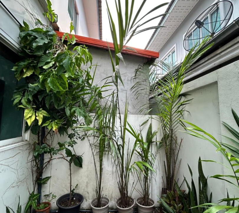 Photo of Others in Khlong Luang