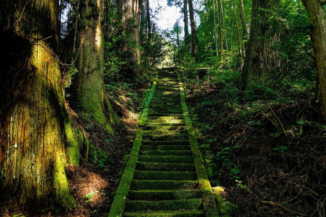 Photo of Others in Nishihara